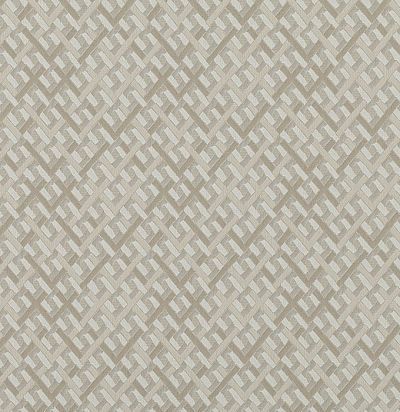 жаккардовая ткань из хлопка с геометрией Z351/01 Barney Zinc