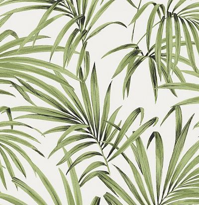 Обои современные дизайнерские крупные  листья пальмы LOT103 Khroma Zoom