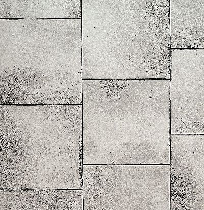 Обои для стен серебряные PRL043/01 