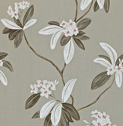 обои с цветами олеандра 212132 Sanderson