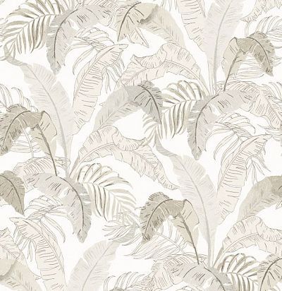 Обои современные дизайнерские крупные  листья пальмы LOT001 Khroma Zoom