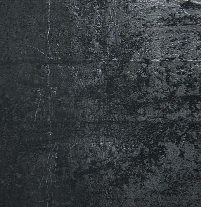 обои черные металлизированные 10254 