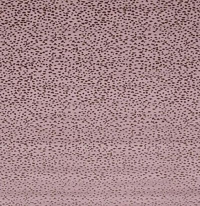 Ткань современная плотная  F1564/03 Clarke&Clarke