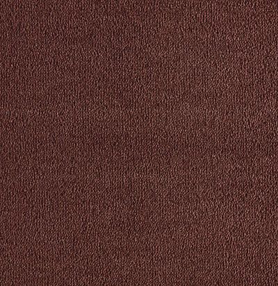 Dream UIO/302 Ковровое покрытие  (4м x 1м) SmartStrand