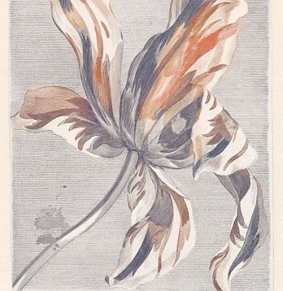 панно синее с тюльпаном 358116 