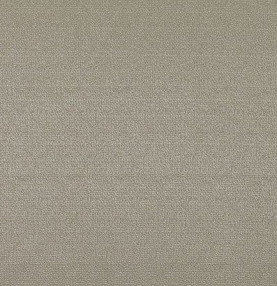 однотонная ткань для обивки Z371/04 Tarquin Buff Zinc