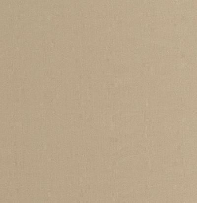 однотонная ткань тревира для портьер Wasabi CS 15 