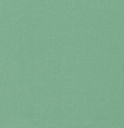 Ткань плотная однотонная F1537/18 Clarke&Clarke