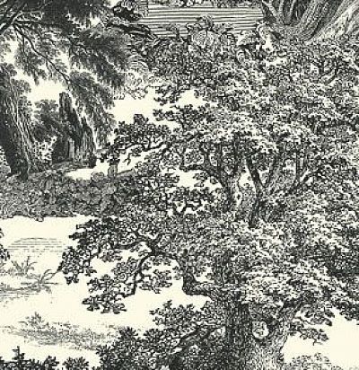 Панно ЛЕС имитация гравюры DG2SAL1013 Khroma