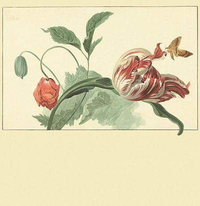 панно бежевое с тюльпаном и маком 358118 