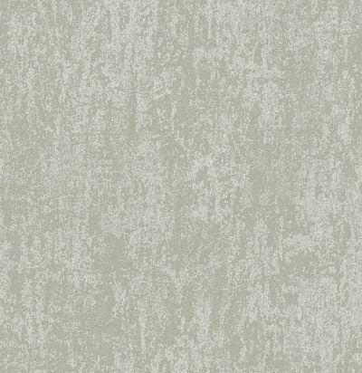 Обои современные имитация штукатурки ED6056 Omexco