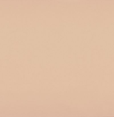 39171642 BROOKS POUDRE  Французская ткань 