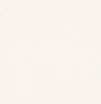 обои под покраску 343205 Rasch