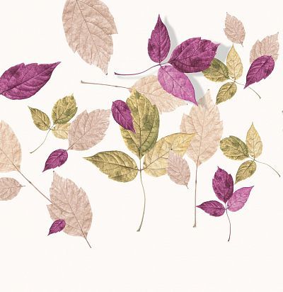 Панно ID Wall Botanica ID048010 