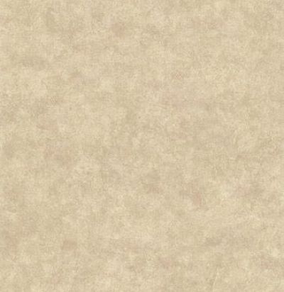 обои с имитацией штукатурки CD002069 Chelsea Decor Wallpapers