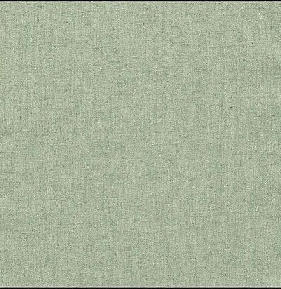 Ткань для портьеры без узора 10547.74 Nobilis