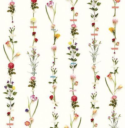 Обои с цветами на светлом фоне 341087 