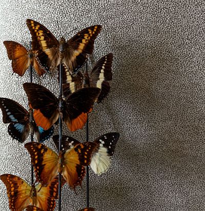 Обои с мелким узором CAB901 Khroma - 1