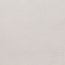 Фото: ткань тревира светлого оттенка Bacco CS 41- Ампир Декор