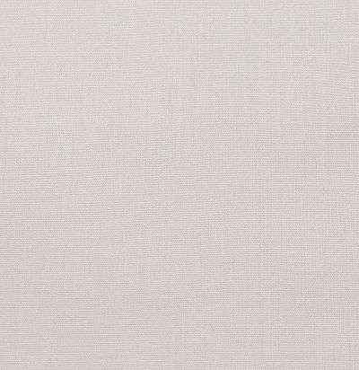 ткань тревира светлого оттенка Bacco CS 41 