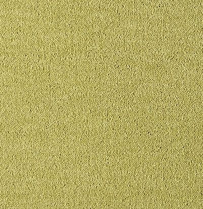 Dream UIO/541 Ковровое покрытие  (4м x 1м) SmartStrand