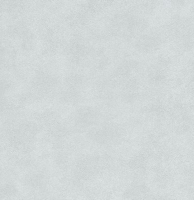 обои бледно-голубые 372516 