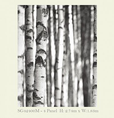 Обои KT Exclusive Sage II SG42400M KT Exclusive