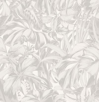 Обои современные тропические цветы ZEN101 Khroma Zoom