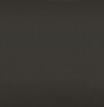 39170356 BROOKS ANTHRACITE   Современная ткань из Франции 