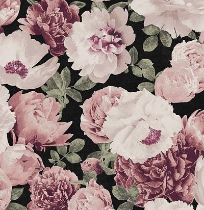 Обои с крупными пионами KEN001 Khroma