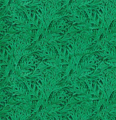 Ткань с растительным дизайном 333025 Zoffany
