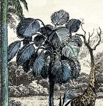 Панно с пастельным сюжетом ПАМПАСЫ DG2SAF1012 Khroma