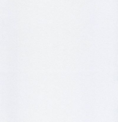 обои белые однотонные HUG201 Khroma Zoom