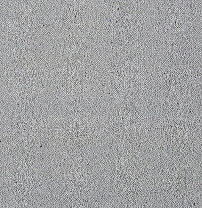 Dream UIO/880 Ковровое покрытие  (5м x 1м) SmartStrand