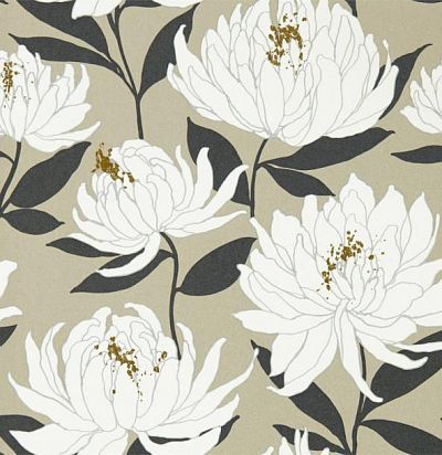 обои современные дизайнерские крупные цветы 112130 Harlequin