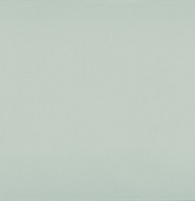 39173451 BROOKS VERT PÂLE  Французская ткань 