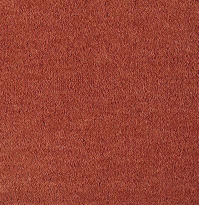 Dream UIO/321 Ковровое покрытие  (4м x 1м) SmartStrand