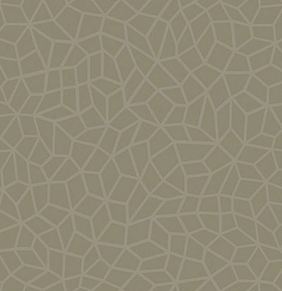 Обои в современном стиле текстиль REB702 Guy Masureel