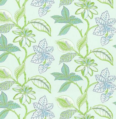 Ткань Thibaut Biscayne F95751 Lucala Aqua and Green 