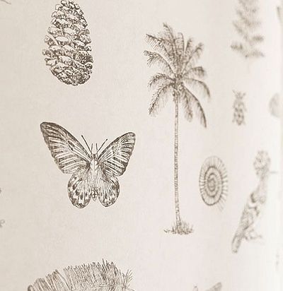 светлые флизелиновые обои 213381 Sanderson - 1