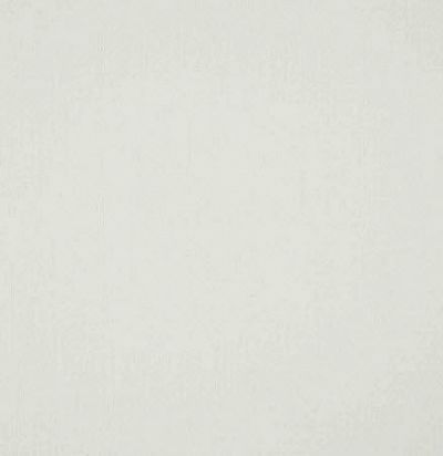 Ткань из Франции 10656.01 Gary Blanc Nobilis