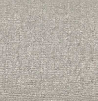 жаккардовая однотонная ткань Z371/01 Tarquin Moonbeam Zinc