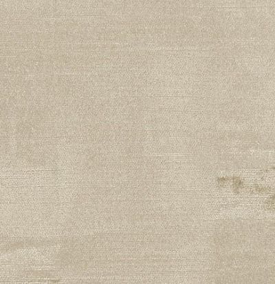 однотонный хлопок Como Champagne 