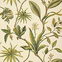 Фото: обои серо-зеленые с растительностью T6729 Natural- Ампир Декор