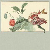 Фото: панно серое с тюльпаном и маком 358119- Ампир Декор