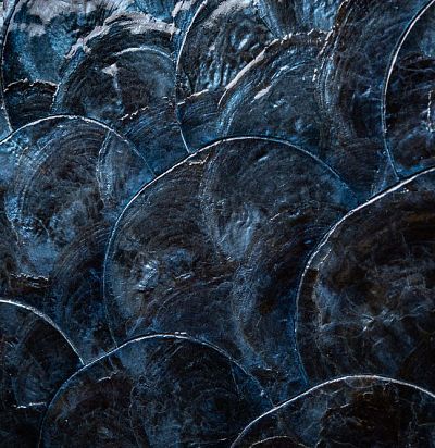 Настенное панно из натурального перламутра  33732 ARTE - 2