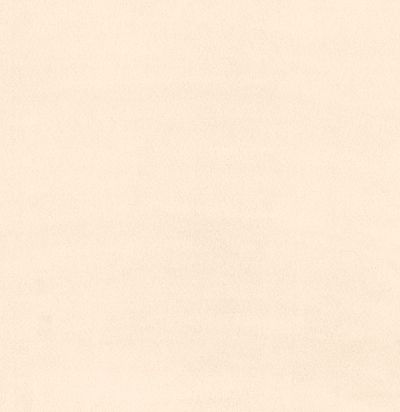 Однотонные 31753 ARTE