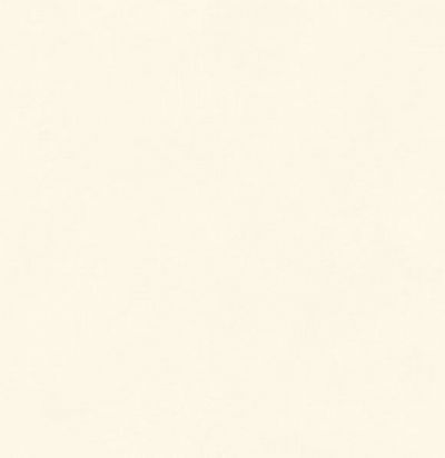 Обои супермоющиеся иммитация краски BLONE 1010 Khroma