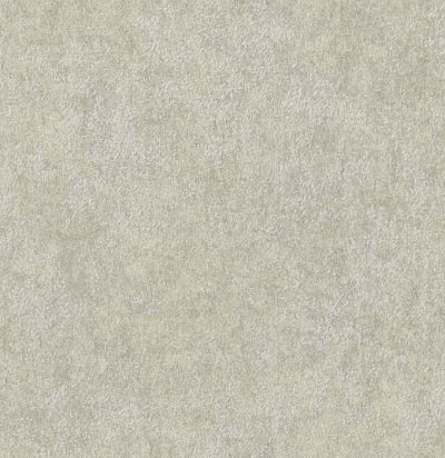 Обои современные имитация штукатурки ED9017 Omexco