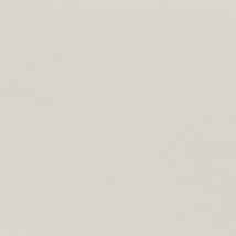 Фото: тюль светлого оттенка Silenzio CS 05- Ампир Декор